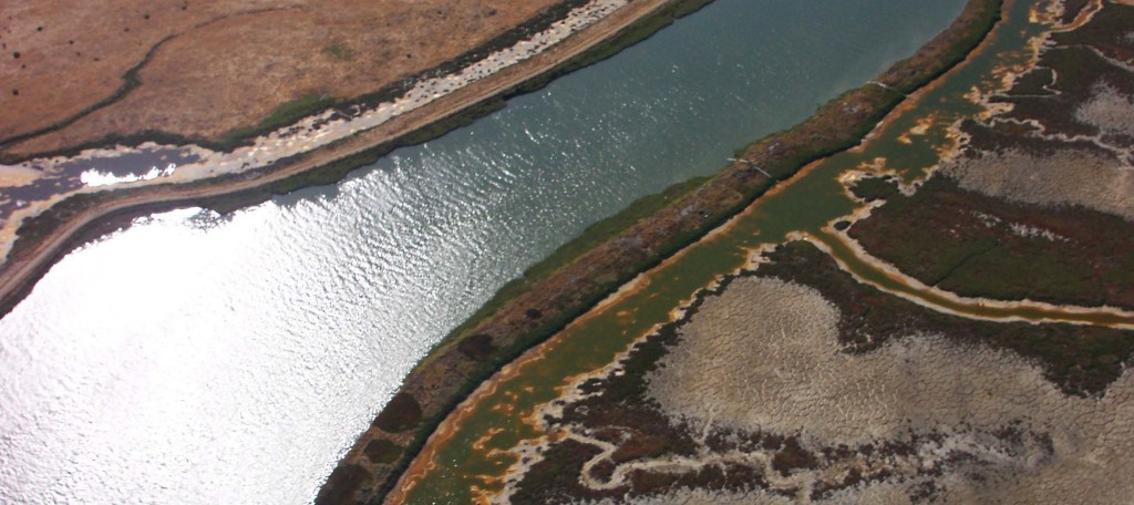 Northern CA From Above - Photo by Mister
