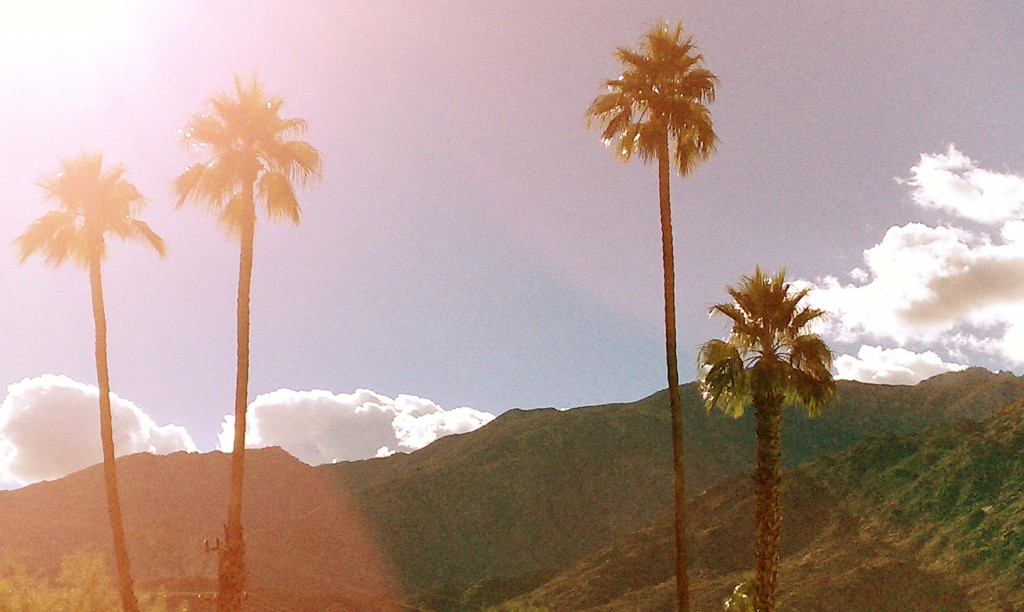 Chilly Day in Palm Springs