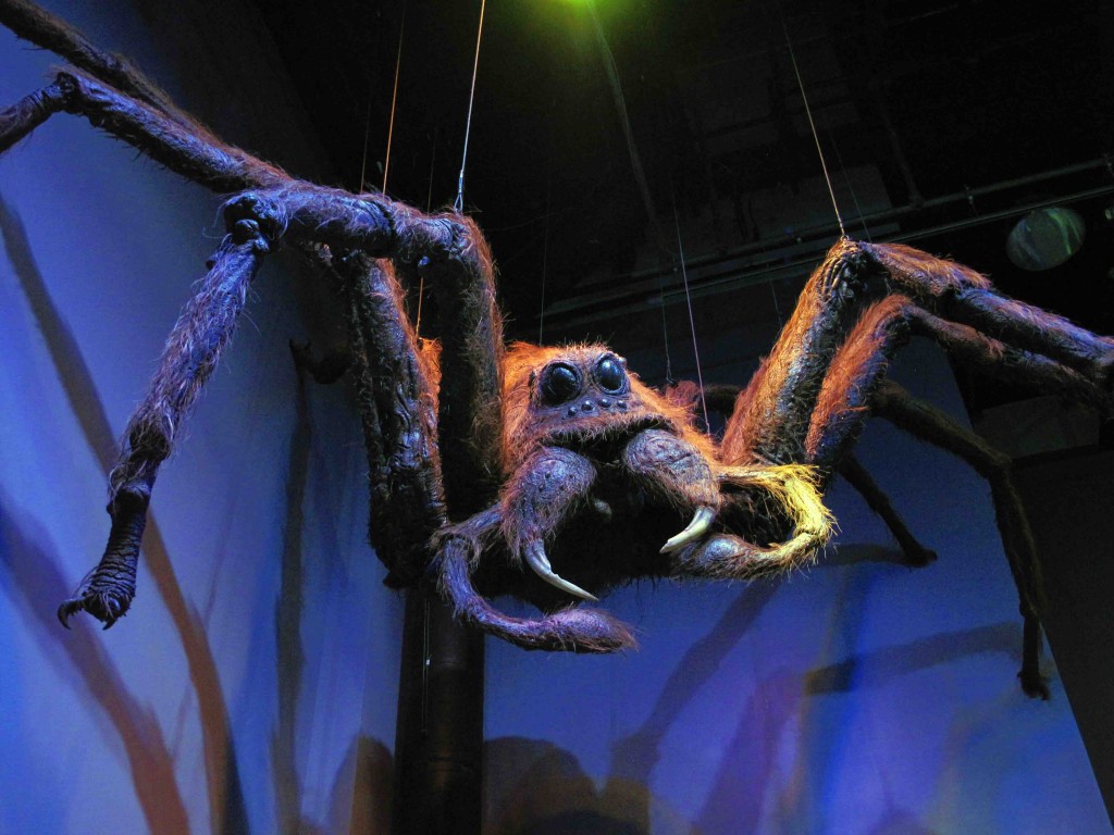 London - Harry Potter Day - Aragog!