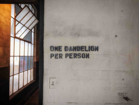 Dandelions: One Dandelion Per Person